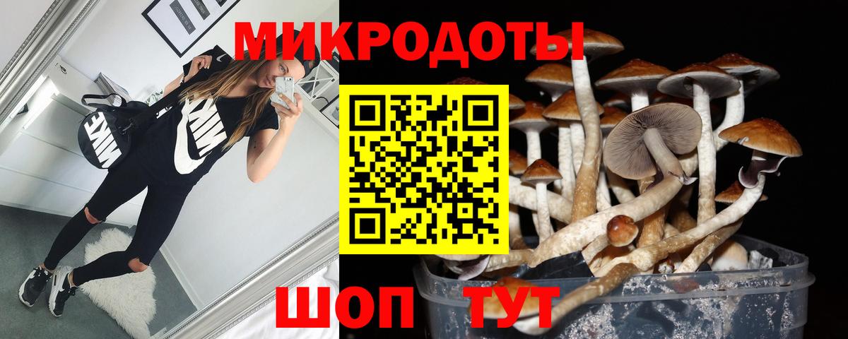 Джанкой  Псилоцибиновые грибы Psilocybine cubensis  Вход с VPN 