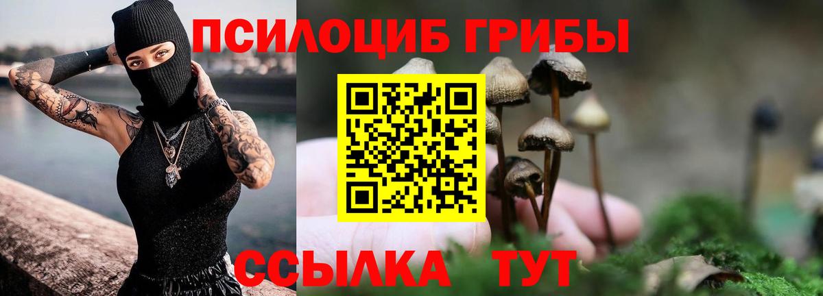 Галлюциногенные грибы GOLDEN TEACHER Джанкой